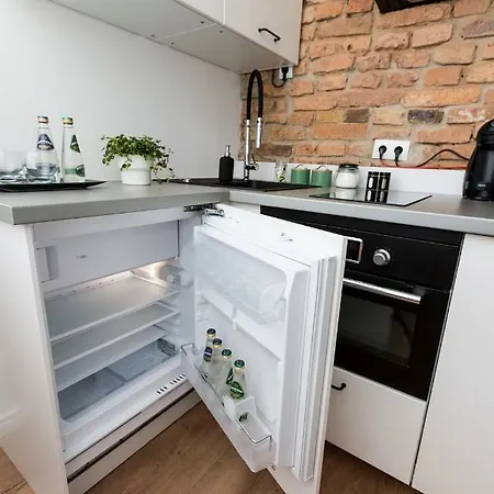 Loft Paprotka Premium Apartment, Close To Mtp Expo, F.vat Apartment Poznan