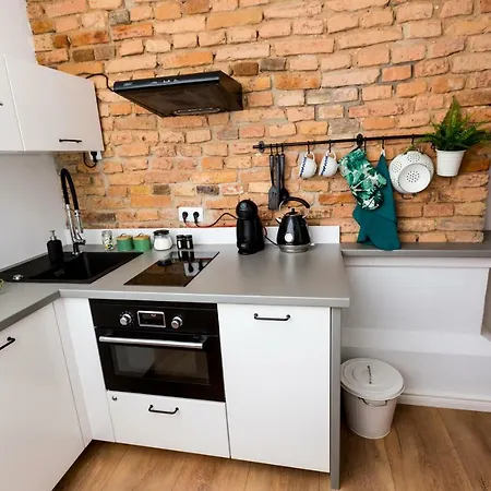 Loft Paprotka Premium Apartment, Close To Mtp Expo, F.vat Apartment Poznan