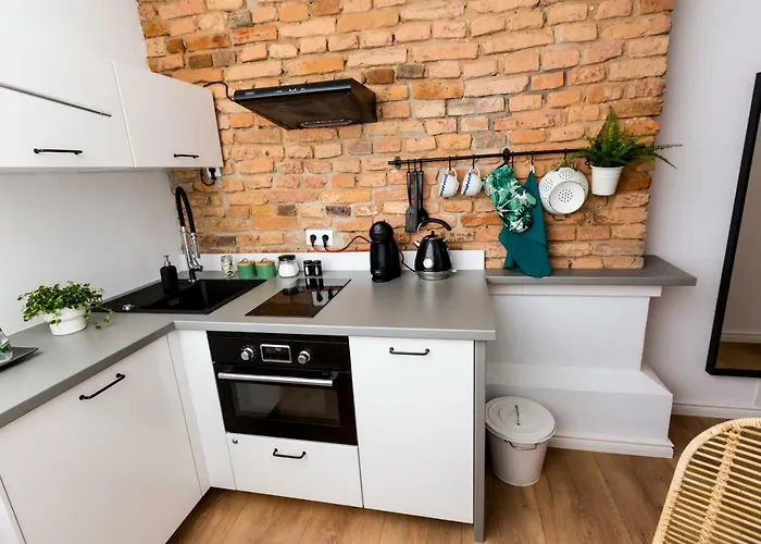 Loft Paprotka Premium Apartment, Close To Mtp Expo, F.vat 公寓 波兹南